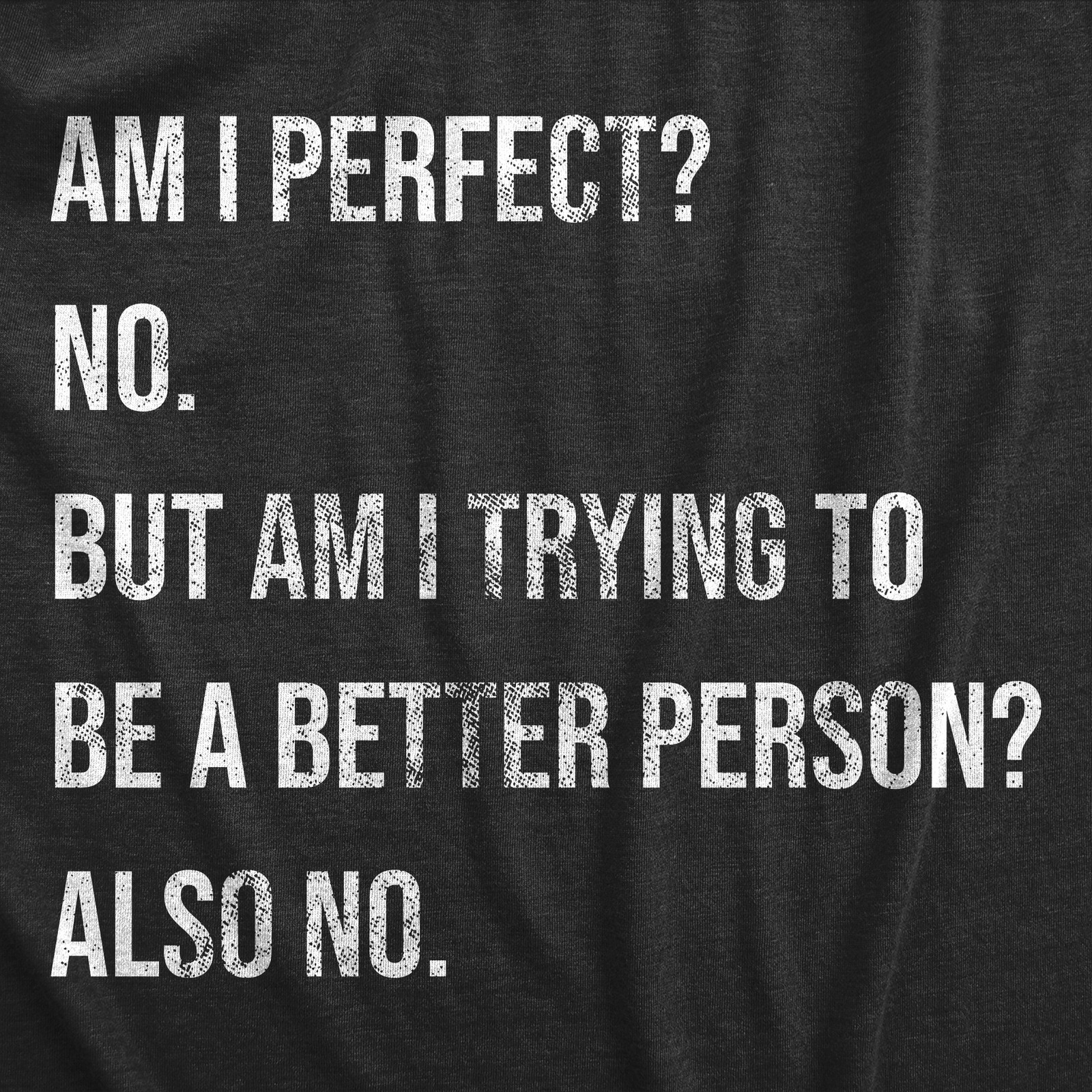 Mens Am I Perfect No T Shirt Funny Sarcastic Self Improvement Joke Novelty Tee
