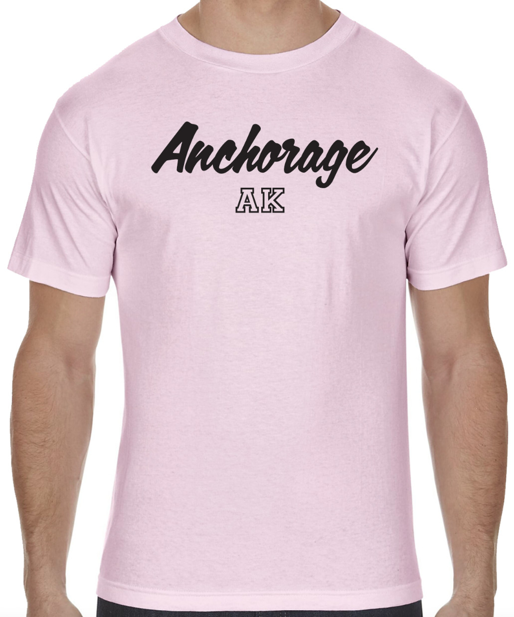 Anchorage Alaska State Graphic T-Shirt tee Unisex Apparel Custom Text