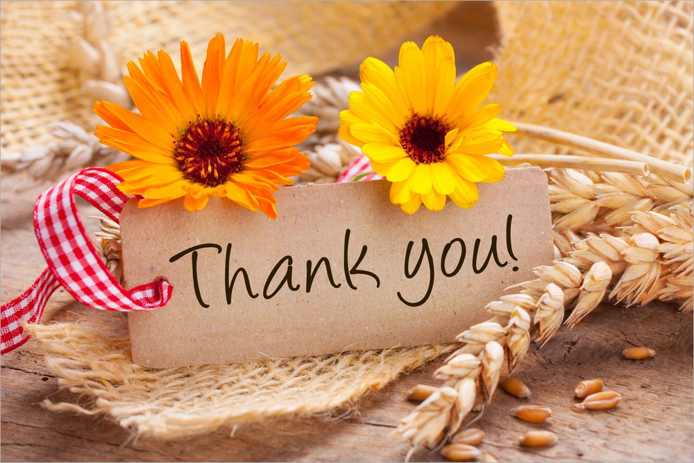 Paul McCartney On His Own Unisex Shirt All Size R421