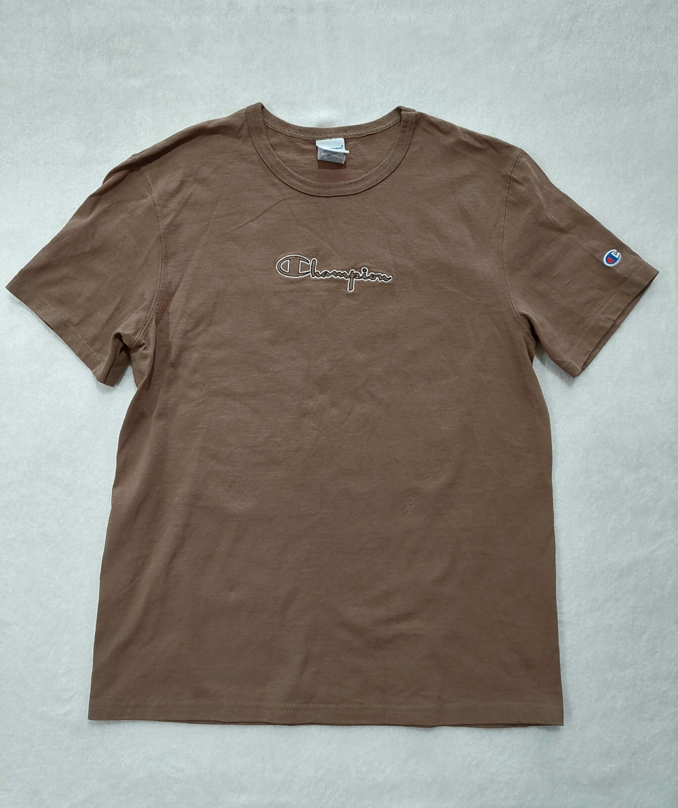 CHAMPION T-Shirt Men’s Size Medium Cactus Rainbow Graphic Brown Embroidered Logo