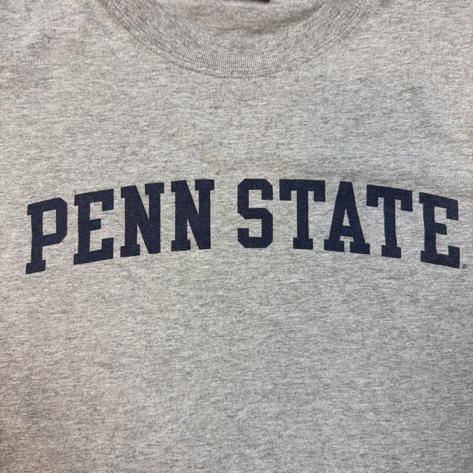 Vintage 90s Yikes Graphic T Mens M Gray Penn State University Cotton Blend