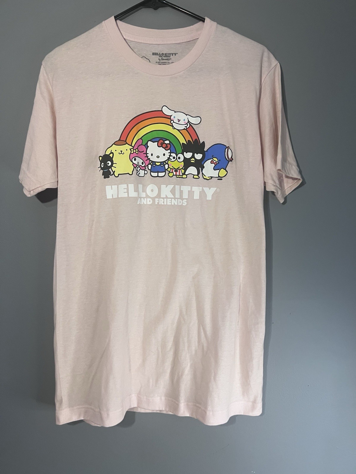 Sanrio Hello Kitty and Friends t-shirt Pink Size Medium Men’s