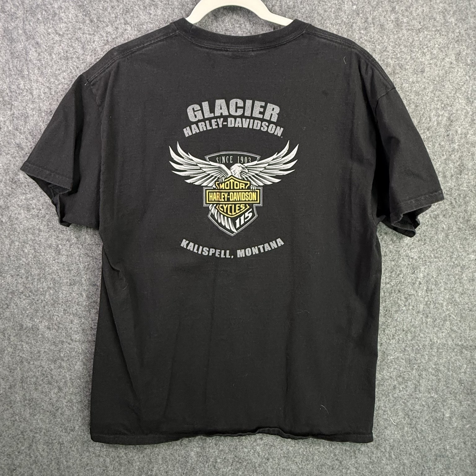 Harley-Davidson T-Shirt Men’s Black Large Cotton 115 Years Brotherhood