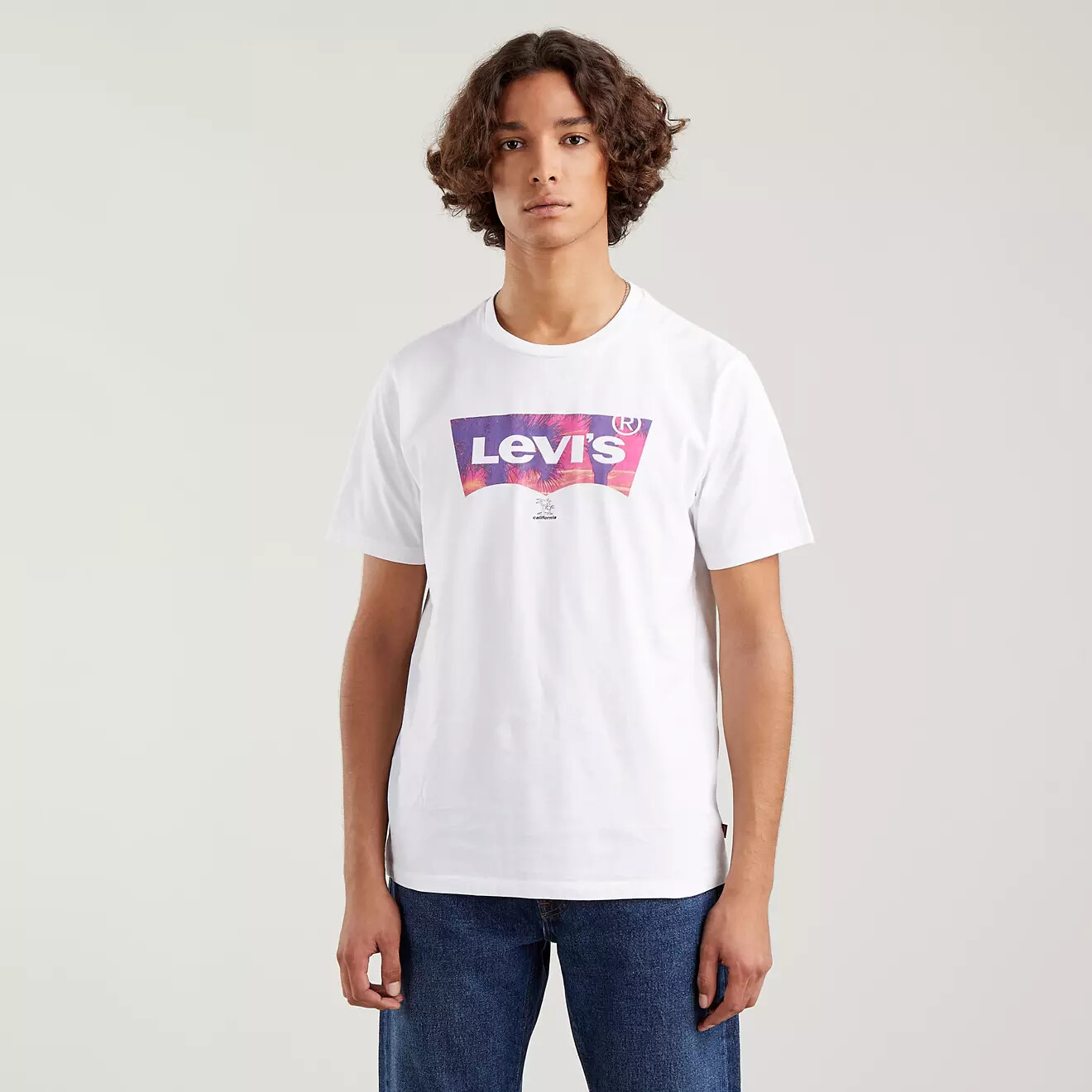 NWT Levi’s Graphic Palm Fill Crewneck Tee Men’s M, L, XL, XXL