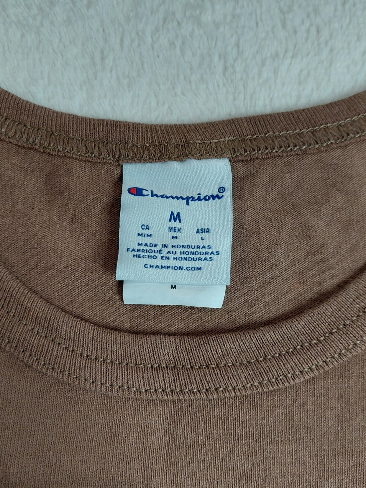 CHAMPION T-Shirt Men’s Size Medium Cactus Rainbow Graphic Brown Embroidered Logo