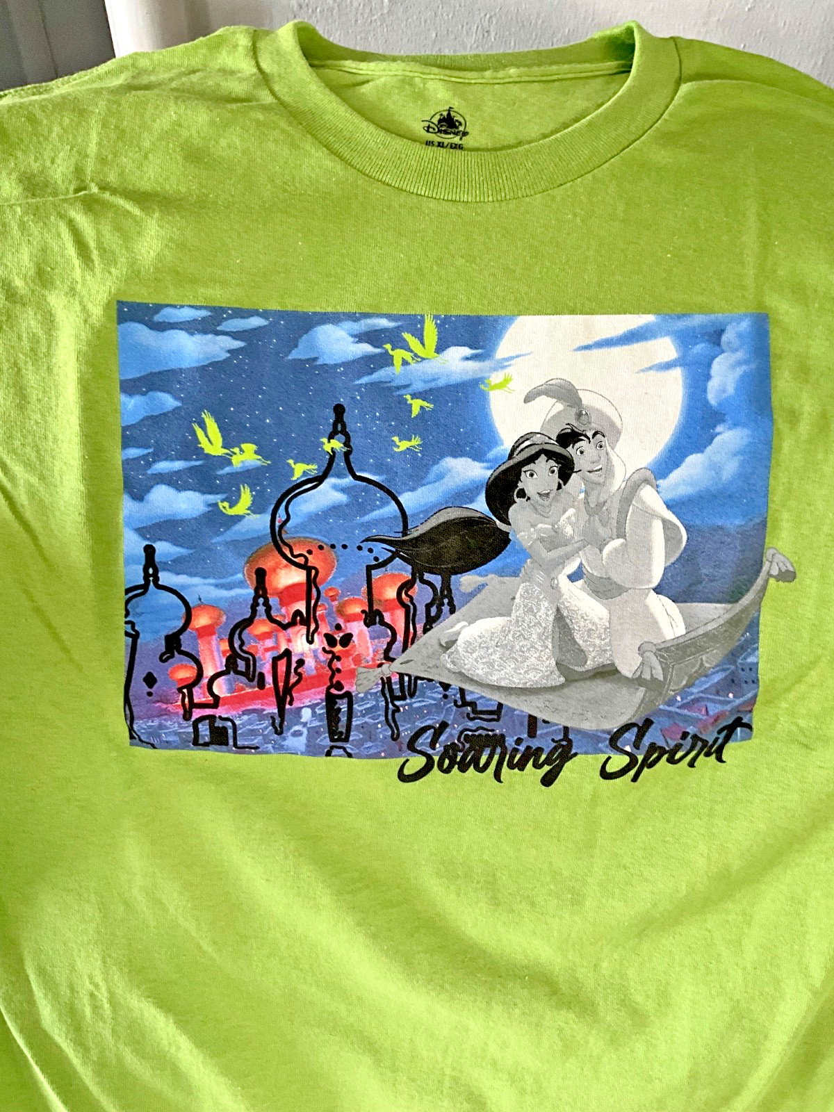 NWT Disney STORE PARKS Aladdin Jasmine Soaring Spirit T-SHIRT TOP ADULT GREEN XL