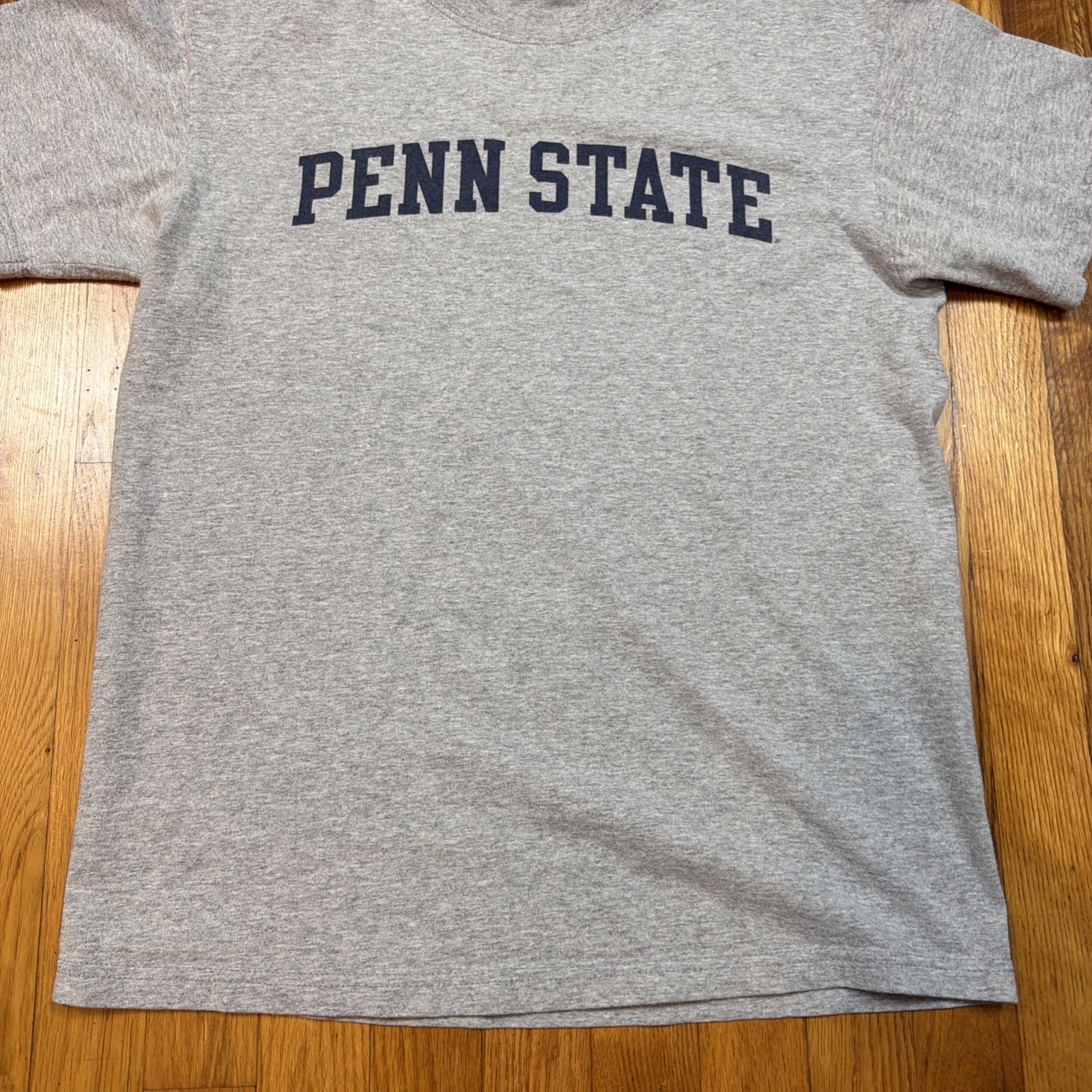 Vintage 90s Yikes Graphic T Mens M Gray Penn State University Cotton Blend
