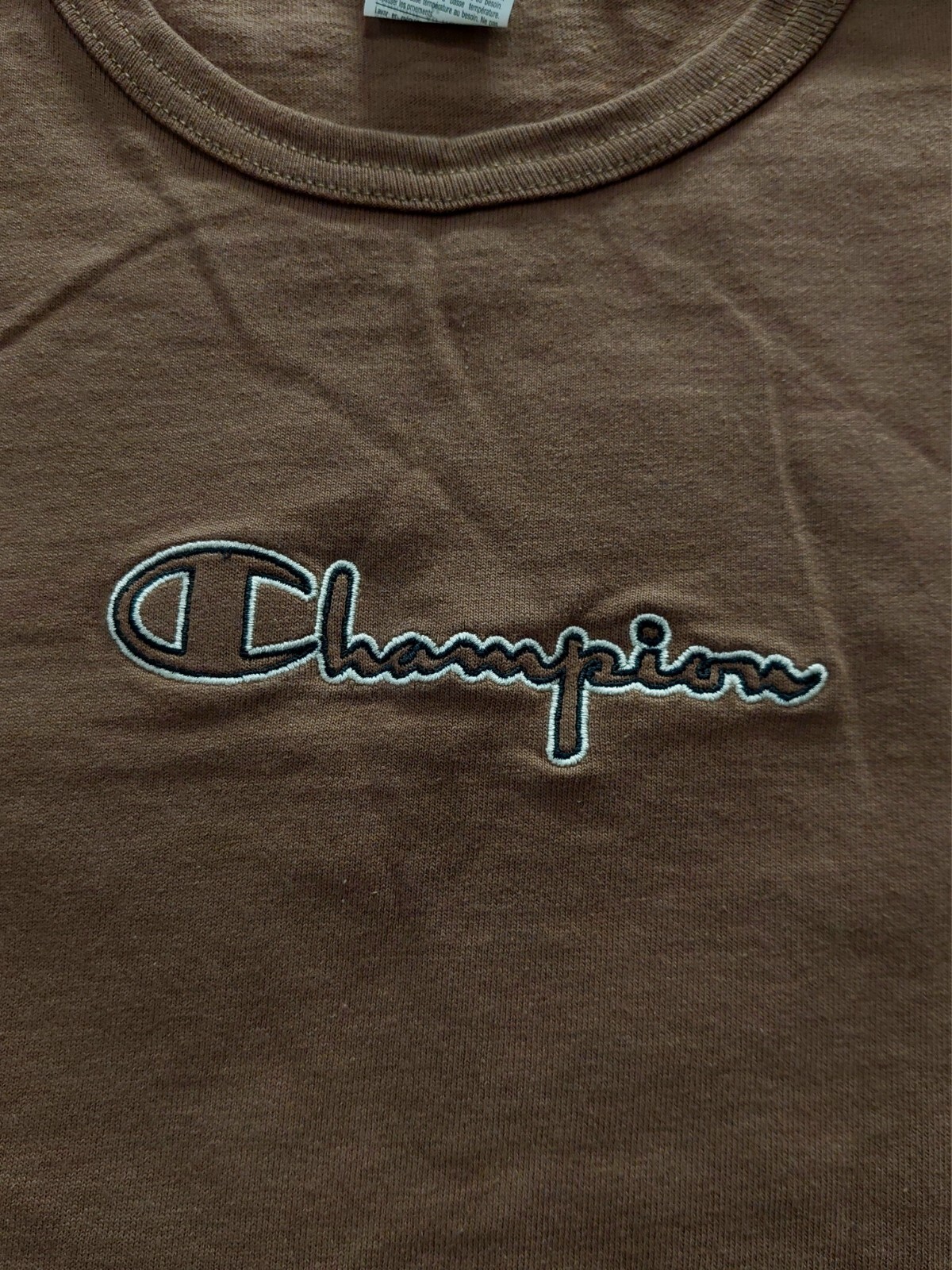 CHAMPION T-Shirt Men’s Size Medium Cactus Rainbow Graphic Brown Embroidered Logo