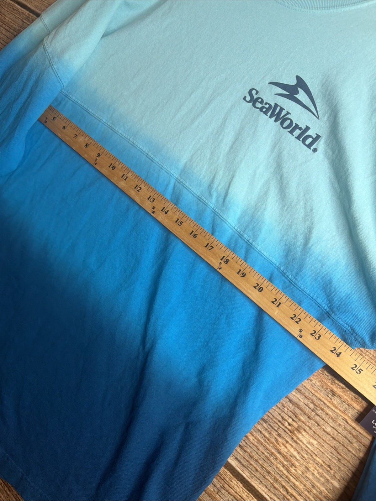 FLAW-SeaWorld Rescue Sweatshirt Mens Large Gradient Blue Marine Animal Graphic