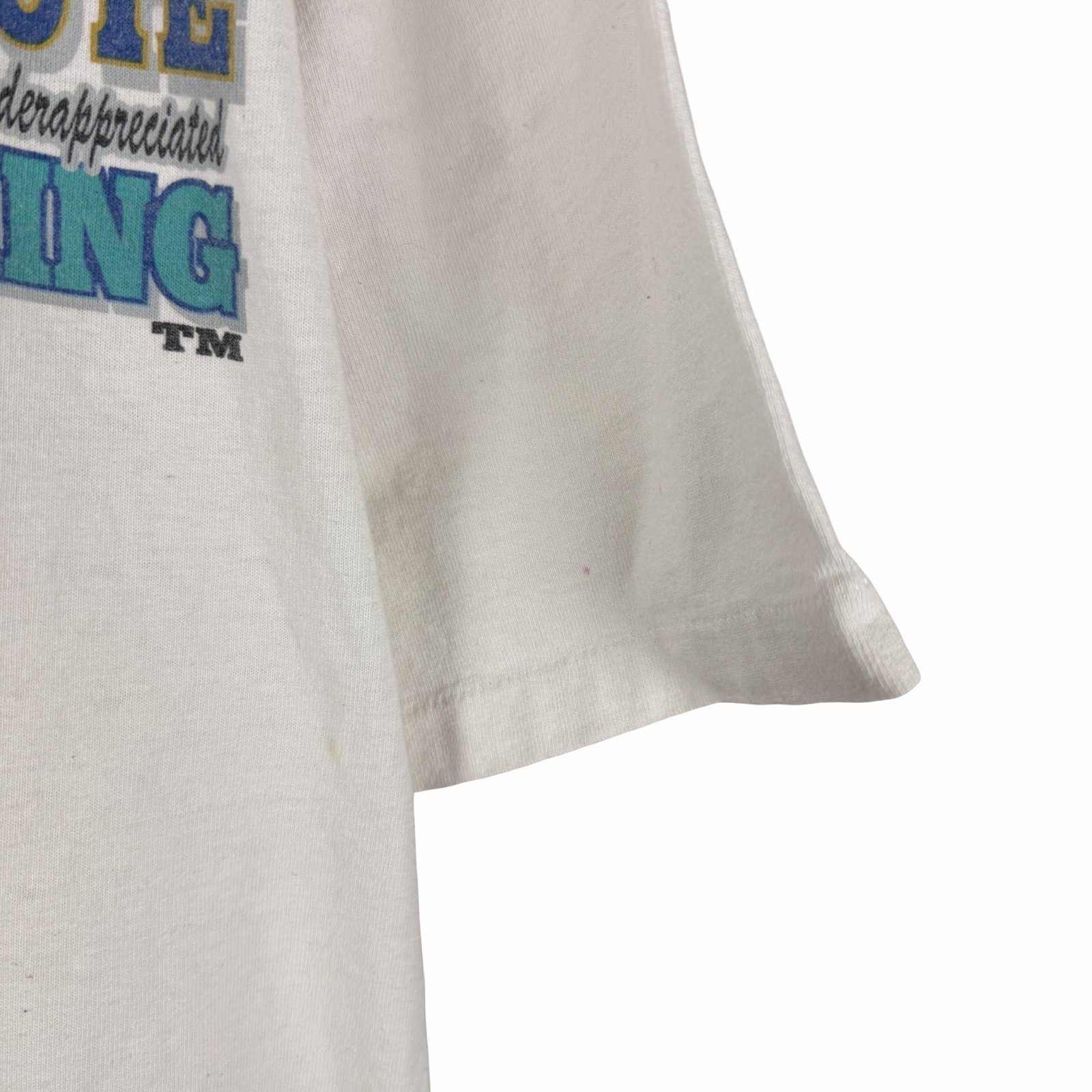 Vintage 1995 Absolutely Underpaid Teaching Comedy Graphic Shirt Size XL