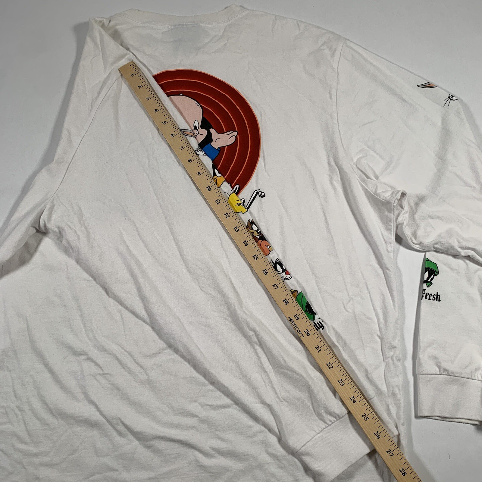 Teddy Fresh x Looney Tunes Adult 2XL Thats All Folks Long Sleeve T-Shirt Porky