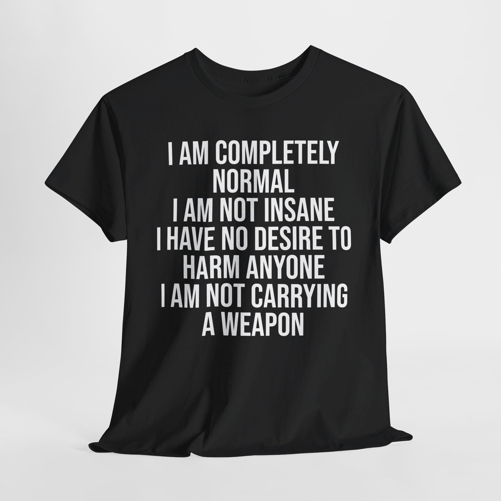 I am completely normal I am not insane shirt funny novelty edgy