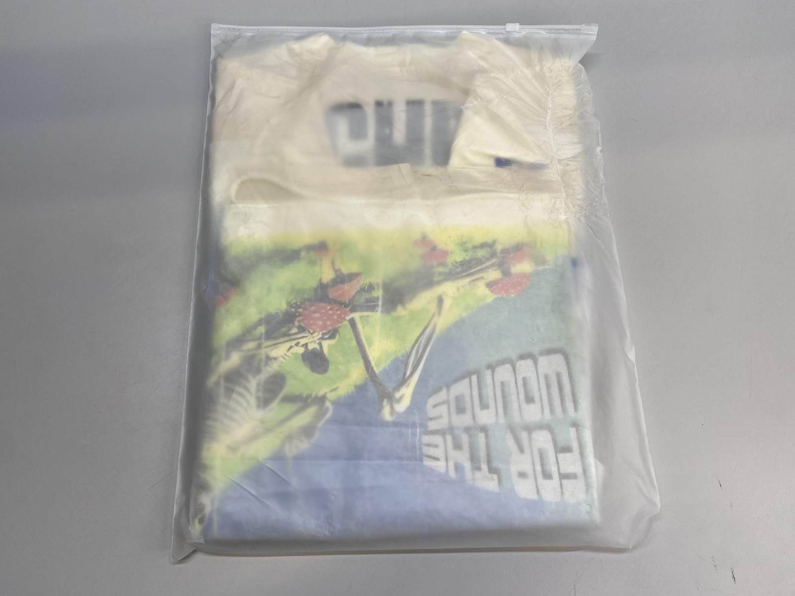 RoughPlay Unisex T-Shirt Beige/Multi Size L SunShower Long Sleeve Graphic Print