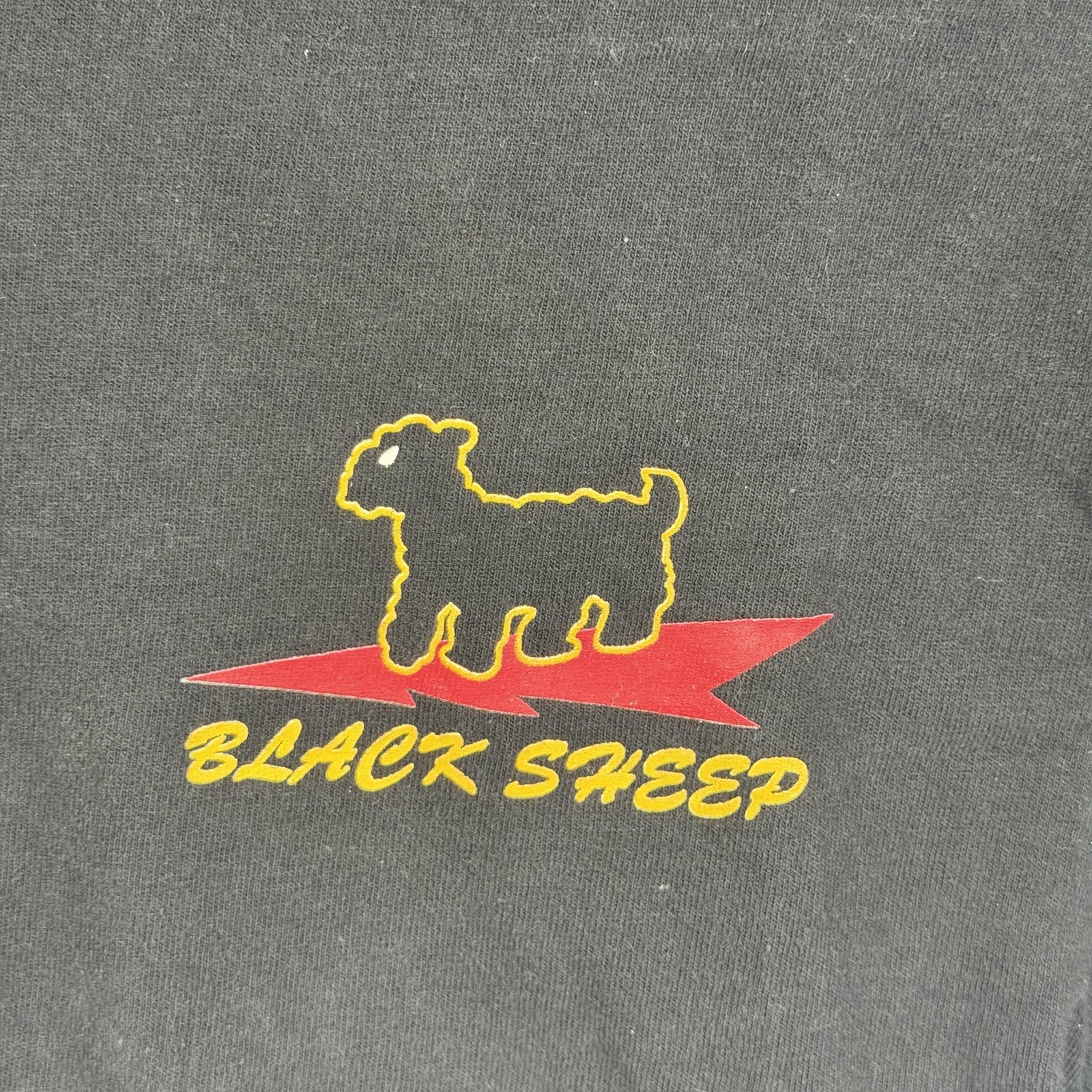 USAF 8th Fighter Squadron Black Sheep F-117 Stealth Jet T Shirt Hanes Small Tee