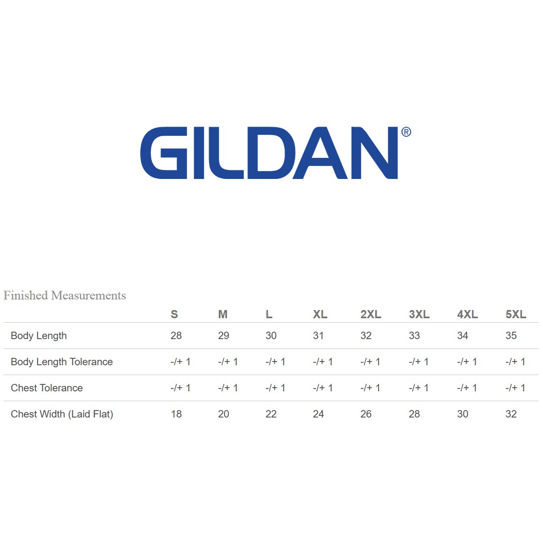 2 Pack Of Gildan G500 Adult Solid Heavy Cotton Tee Plain Blank Casual T-Shirt
