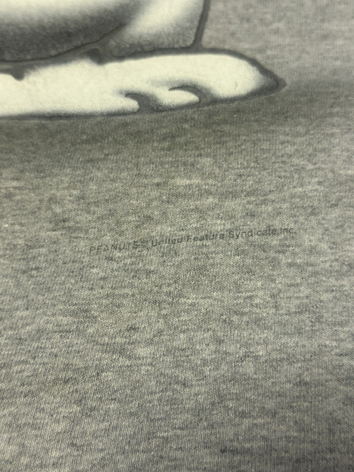 Vintage Peanuts Shirt Mens XL Grey Joe Cool Snoopy Changes 90s Made In USA*