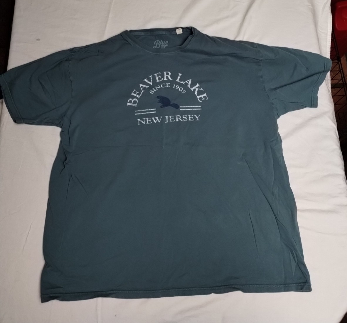 Blue 84 – Men’s XL T-shirt Teal Green Beaver Lake New Jersey