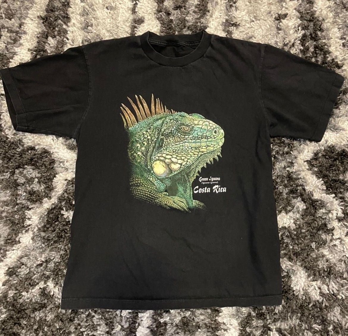 Vintage Costa Rica Green Iguana Graphic T-Shirt Black