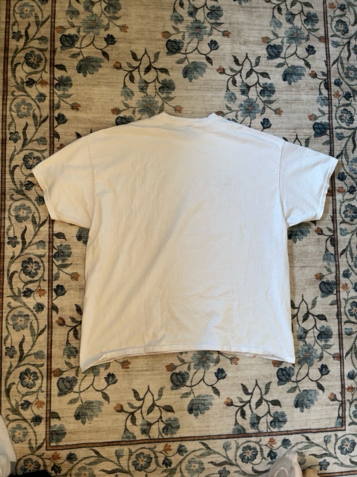 Gildan Ultra Cotton Men’s 2XL White Wonder Woman WW84 T-Shirt