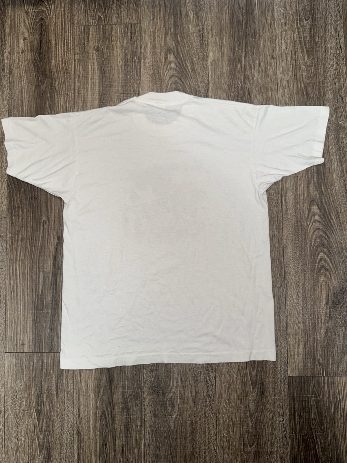 Vintage 90s Tennessee 200th Birthday Celebration Carnival 1996 Size XL Hanes Men