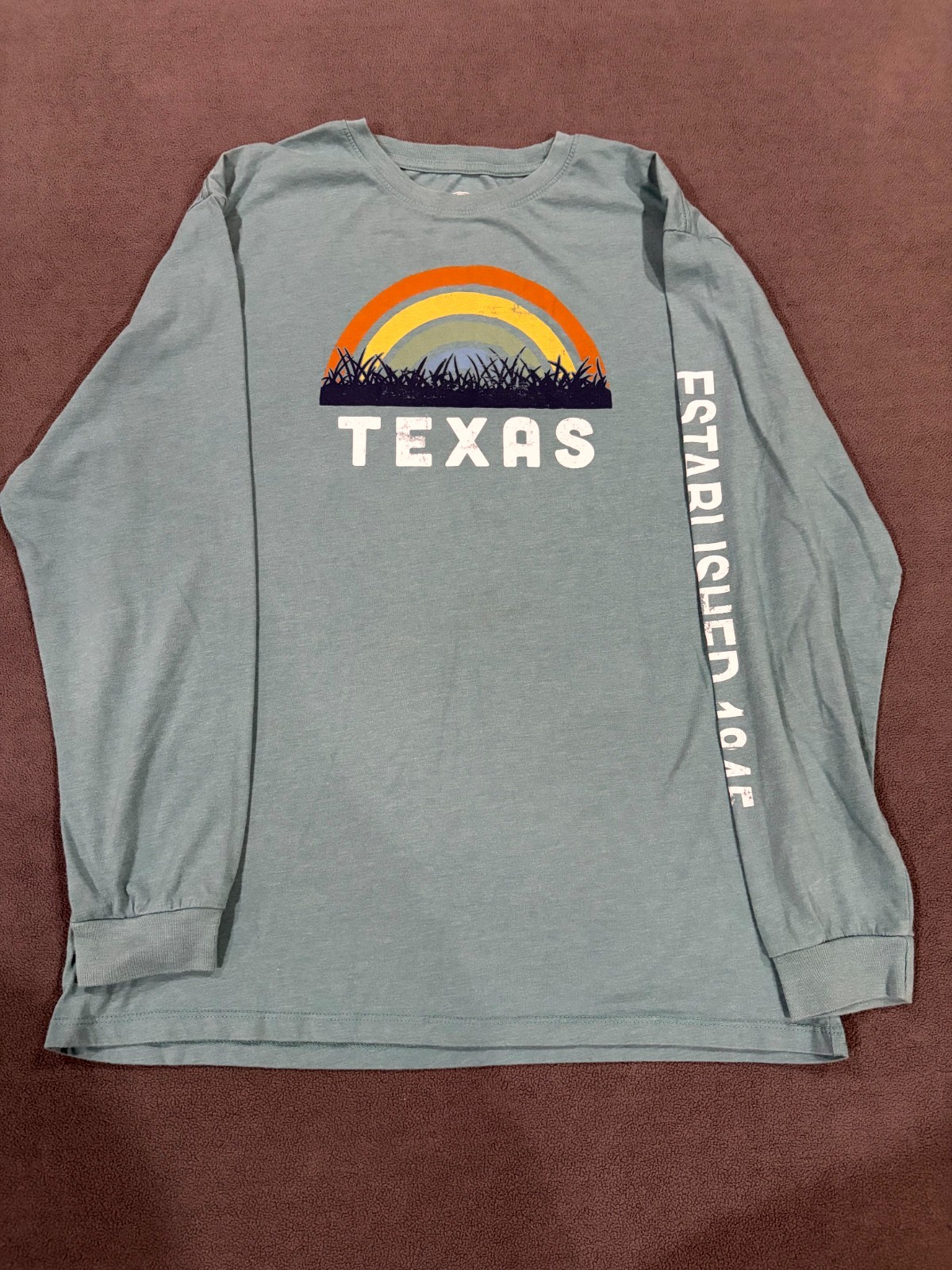 Home Free T Shirt Mens Large Teal Texas Established 1845 Sunset Graphic Cotton