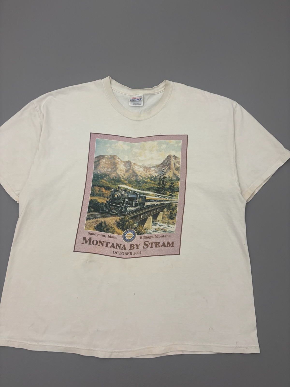 Vintage 90s Montana By Steam Train T Shirt Mens Hanes Beefy XL Outdoor