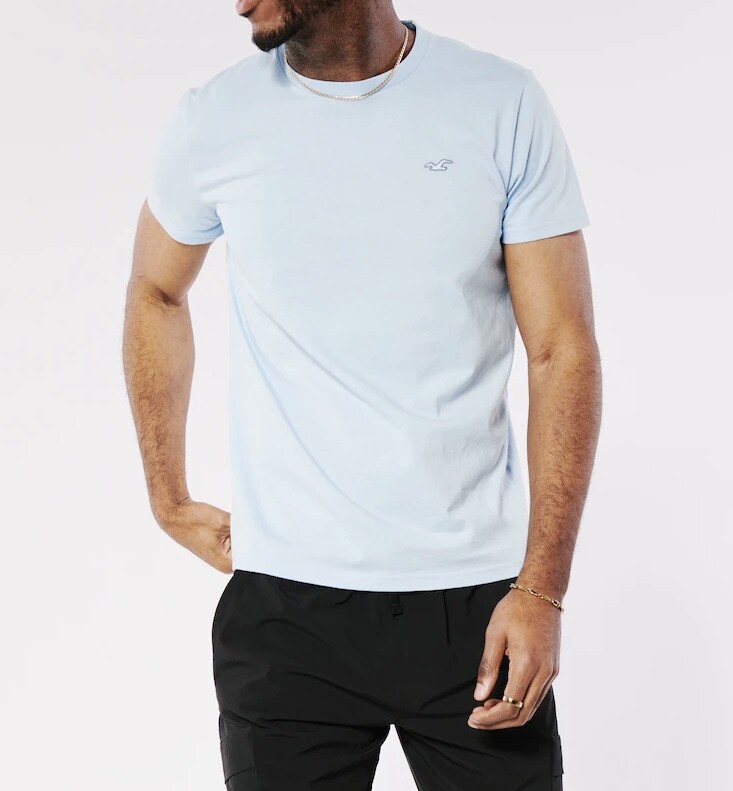 NWT HOLLISTER MEN’S Icon Tees T-Shirts | YOUR CHOICE | Sizes: M / L / XL / XXL