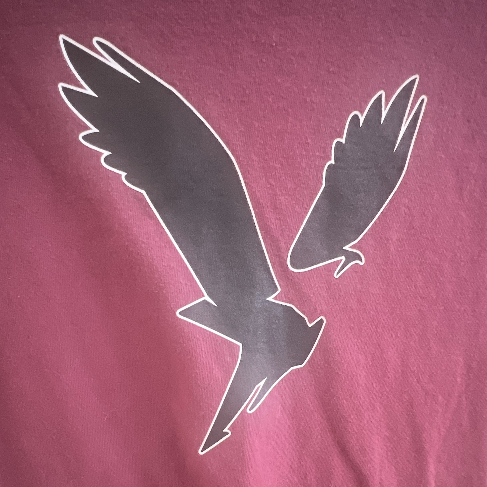 American Eagle Super Soft Standard Fit Graphic Logo Burgundy Crew Tee, Men S