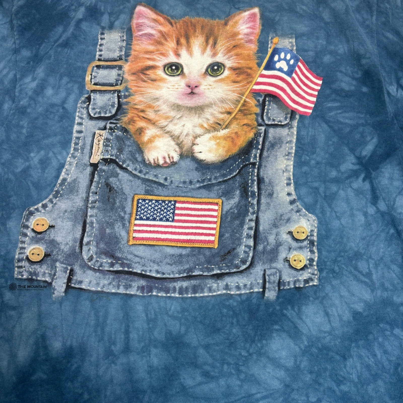 The Mountain 3D Tees Kitten in Overalls American Flag Tie Dye 2XL America 250