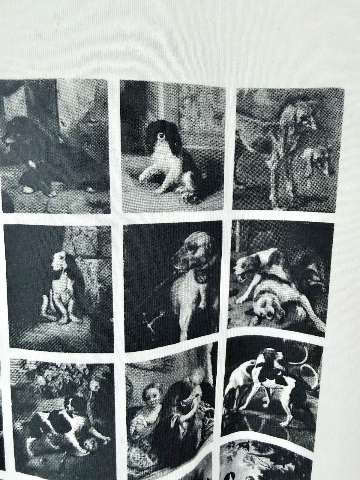 Uniqlo UTGP Louvre Museum Dog Art Graphic Tee White Size L | Paws of the Louvre