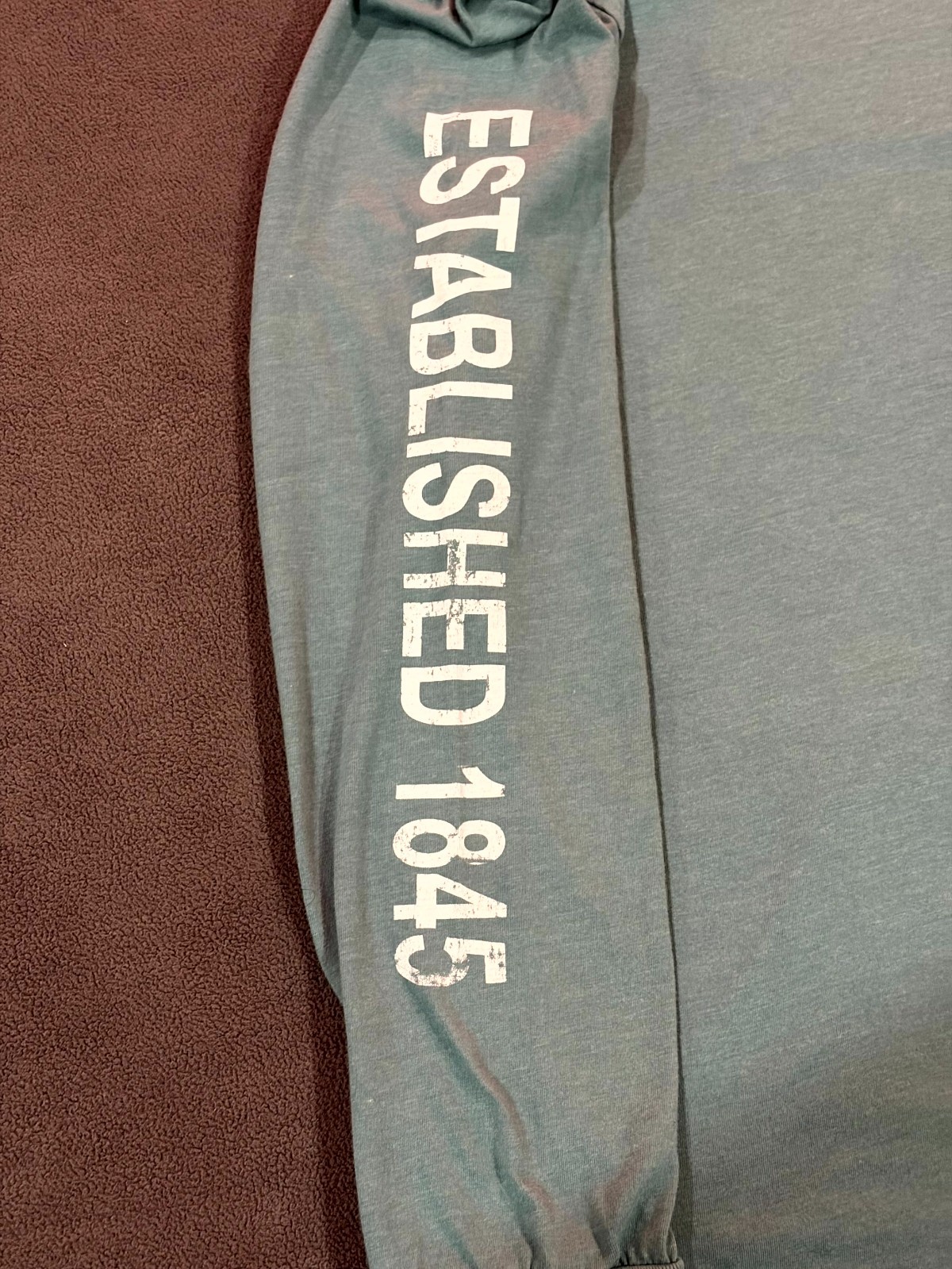 Home Free T Shirt Mens Large Teal Texas Established 1845 Sunset Graphic Cotton