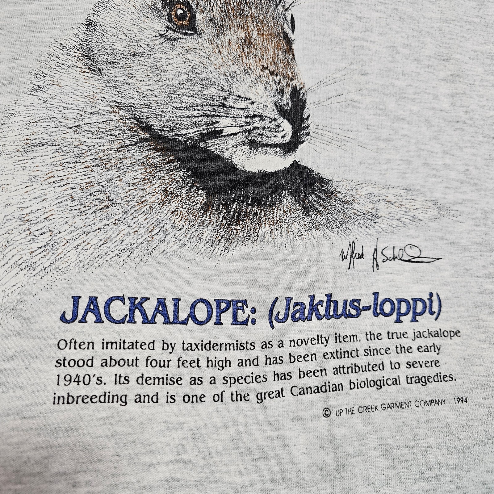 Vtg 90s Jackalope T Shirt Mens M Canada Fruit Of The Loom Single Stitch Hunting