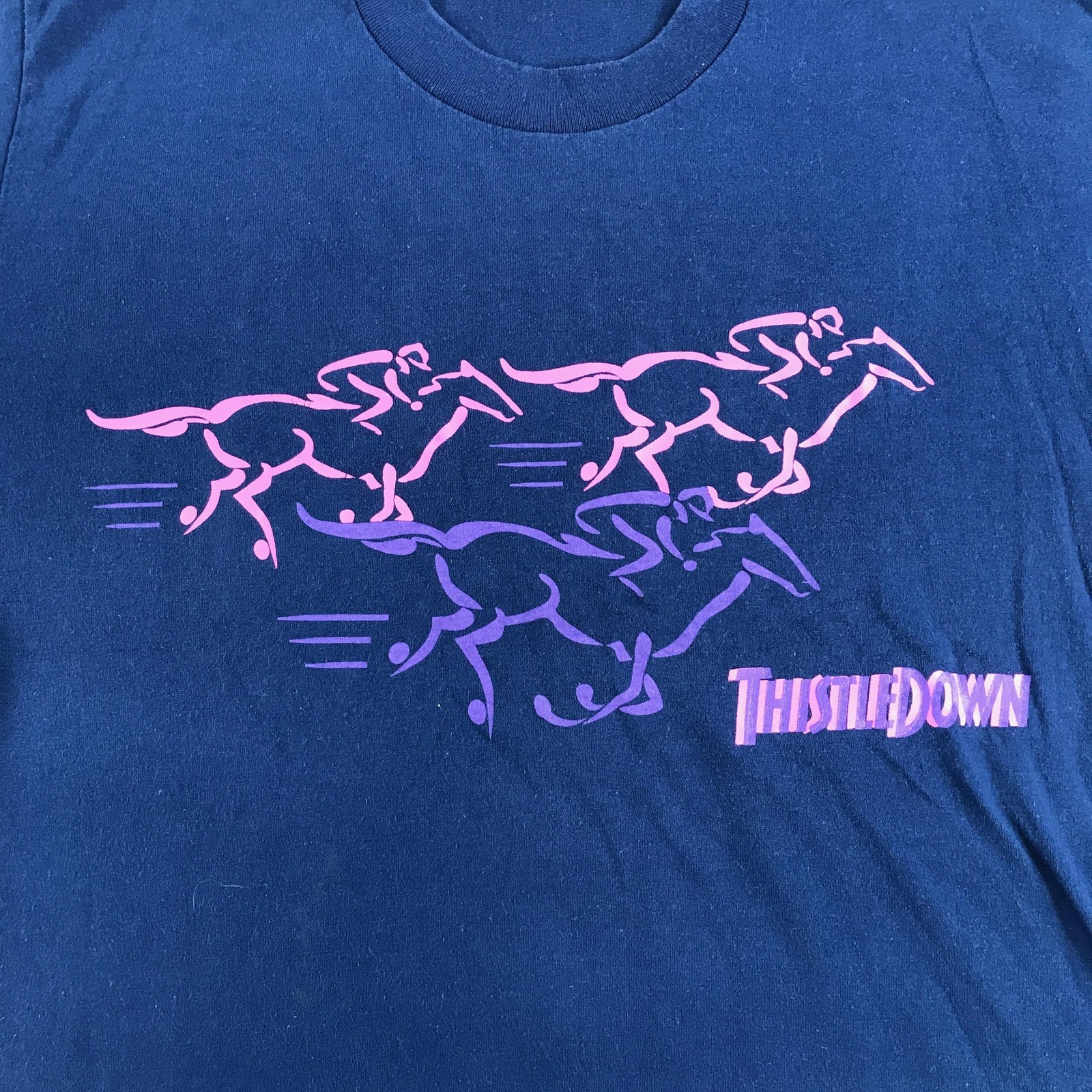 Vintage Thistledown Horse Racing Track T Shirt Mens Large Blue Purple Graphic